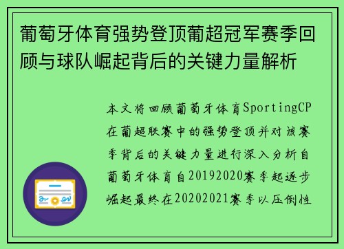 葡萄牙体育强势登顶葡超冠军赛季回顾与球队崛起背后的关键力量解析